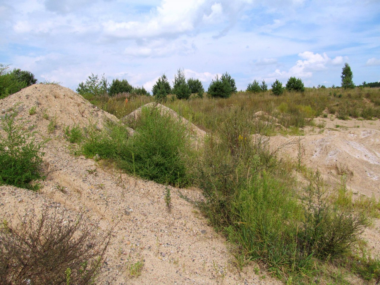 Песчаный карьер "Рутковское", image of landscape/habitat.