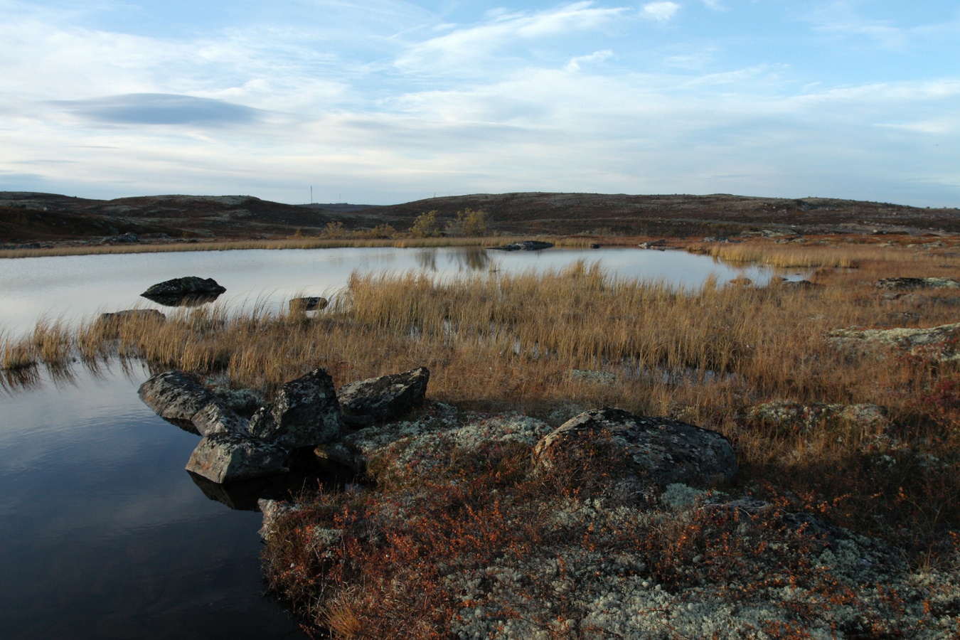 Тундра у Печенгской дороги, image of landscape/habitat.