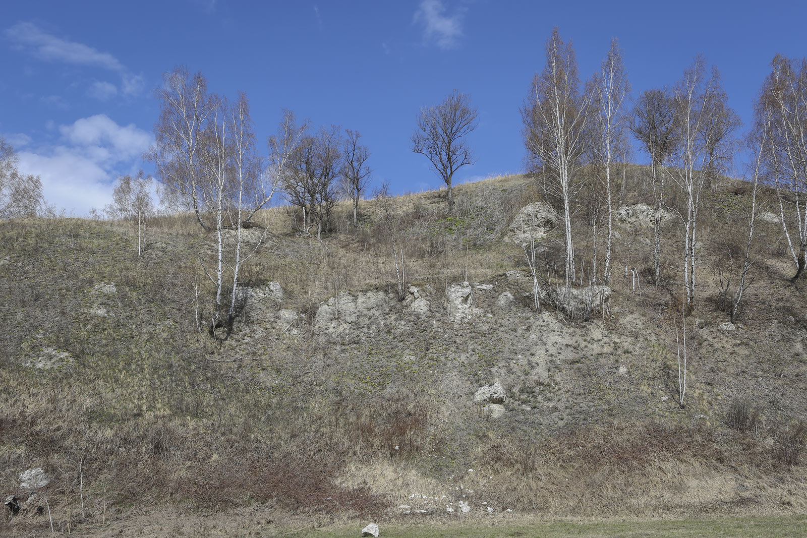 Спасская гора и её окрестности, image of landscape/habitat.