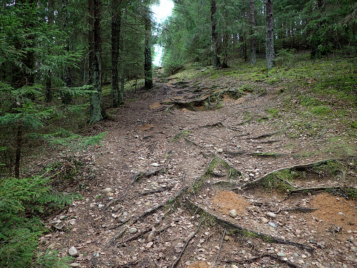 Заказник "Голубые озёра", image of landscape/habitat.