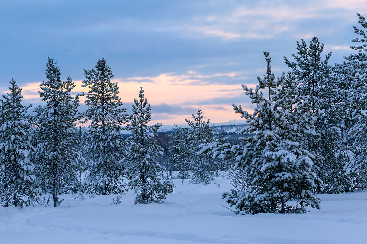 Мурманск, image of landscape/habitat.