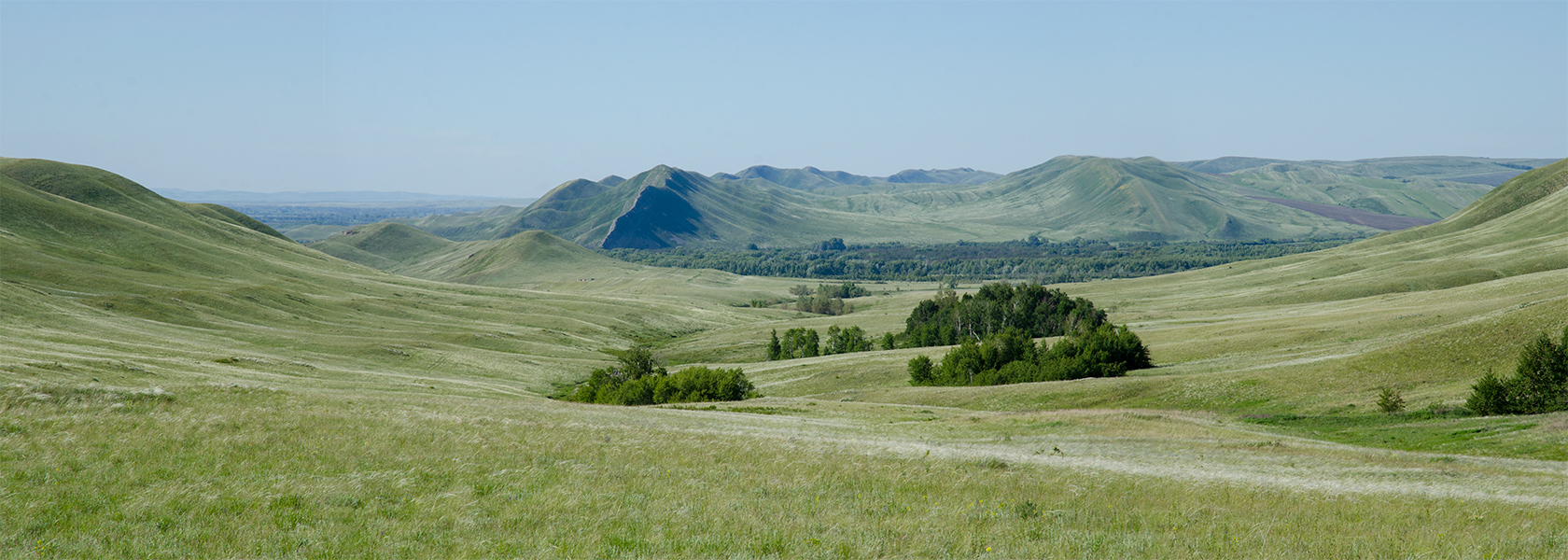 Ногайские горы, image of landscape/habitat.