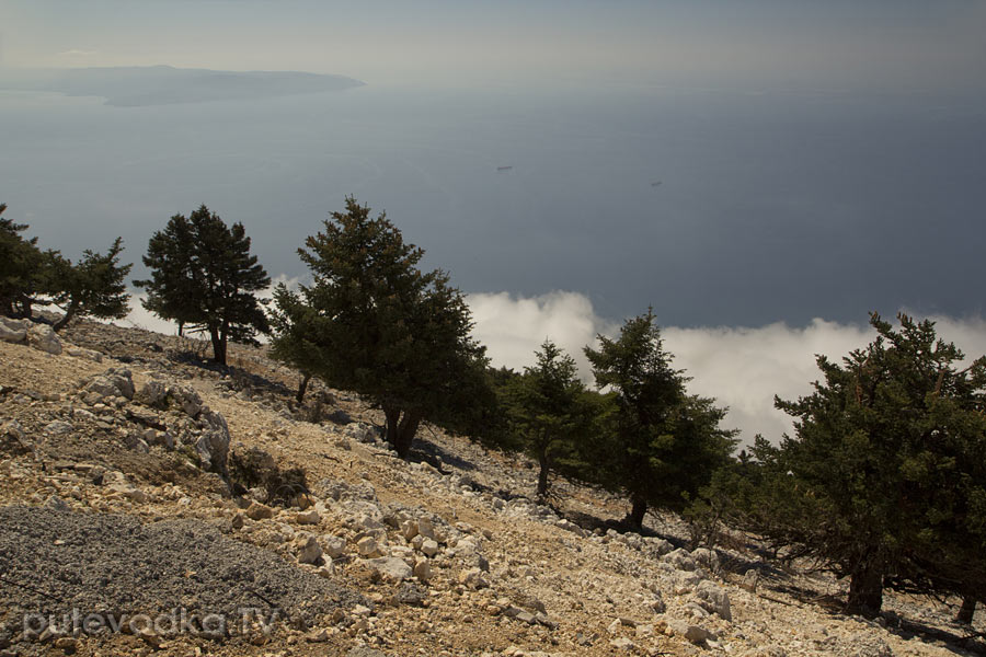 Национальный парк "Энос", image of landscape/habitat.