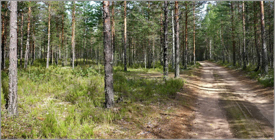 Станция Петяярви, image of landscape/habitat.