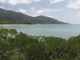 Cape Tribulation, image of landscape/habitat.