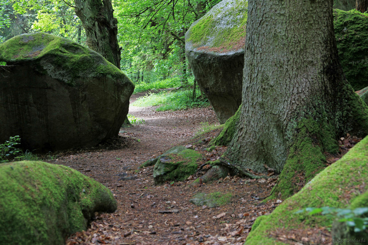 Vyšší Brod a Opatská stezka, image of landscape/habitat.