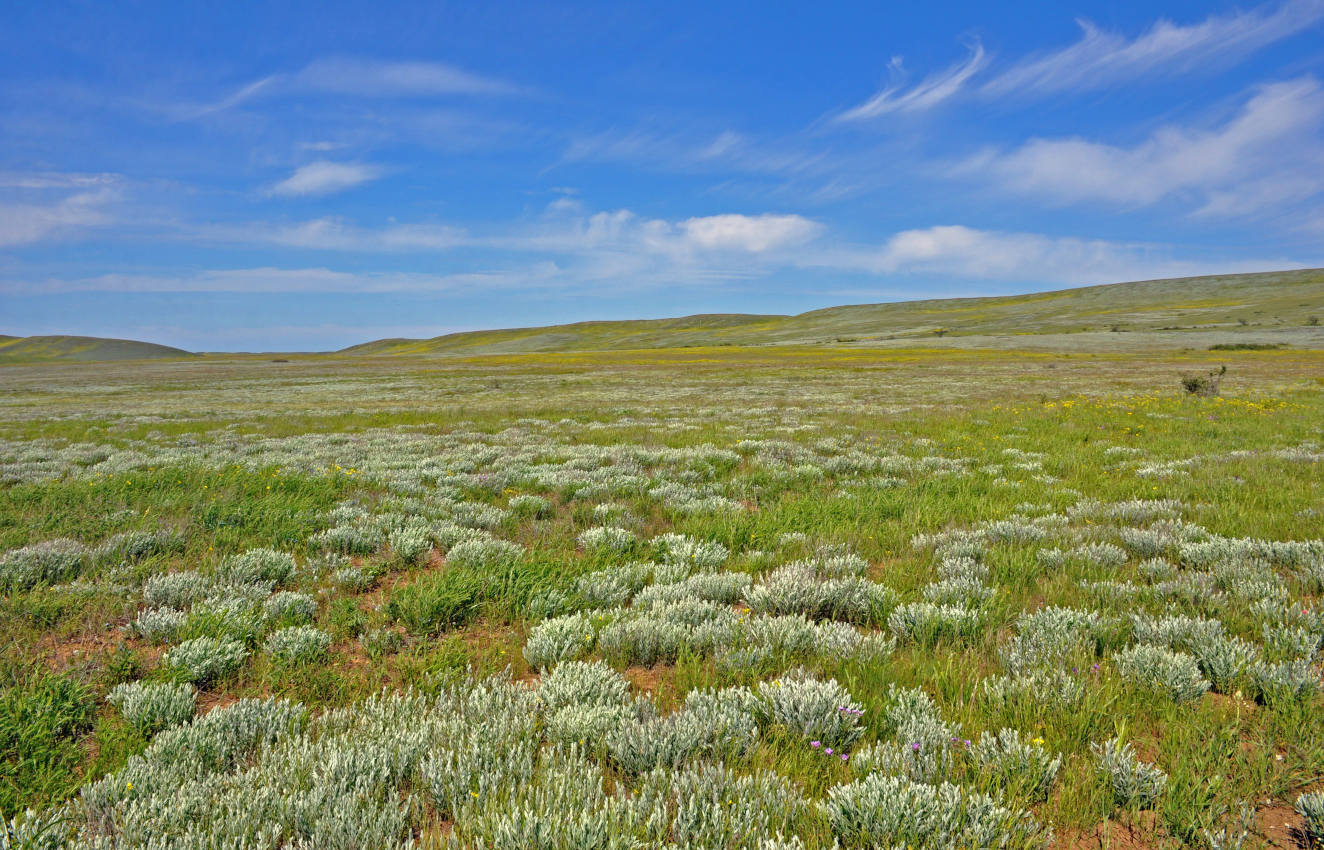 Бухта Шелковица и окрестности, image of landscape/habitat.