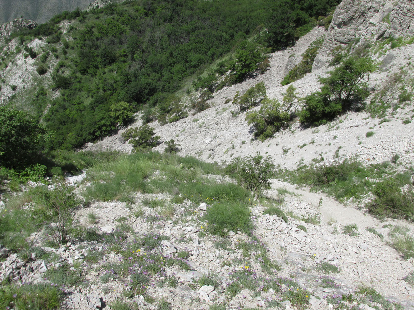 Сулакский каньон, image of landscape/habitat.