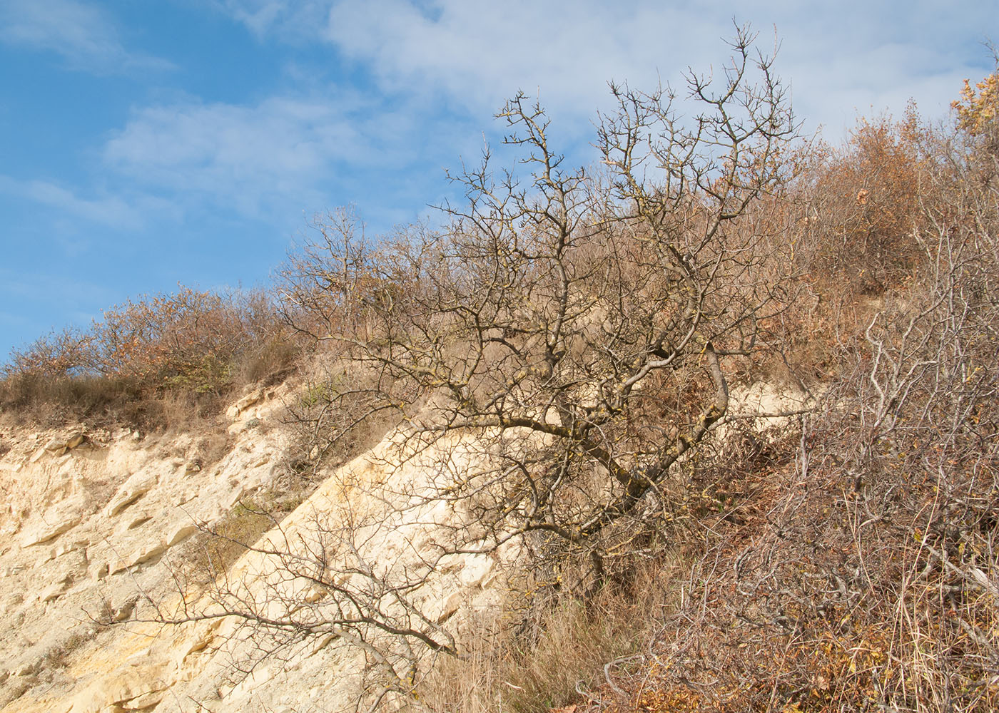 Гора Колдун, image of landscape/habitat.