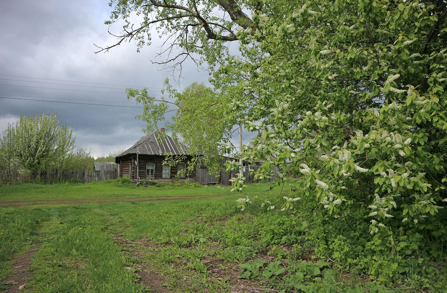 Пойма Вятки у Мамыловки, изображение ландшафта.