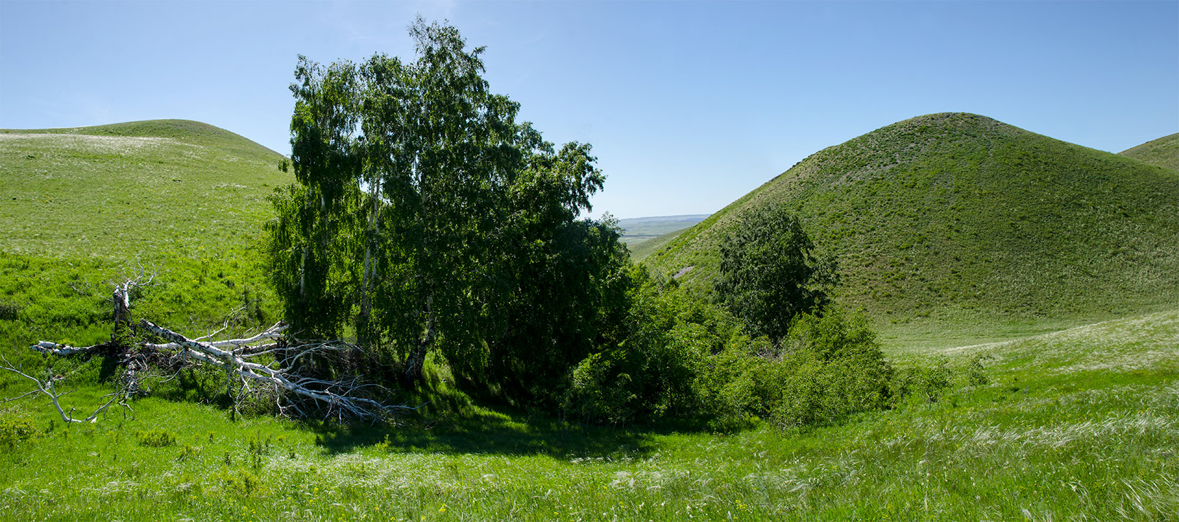 Ногайские горы, image of landscape/habitat.