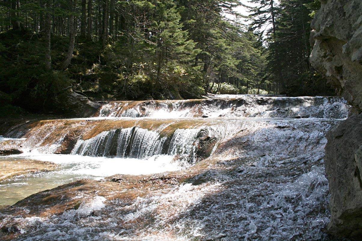 Окрестности Южно-Курильска, image of landscape/habitat.