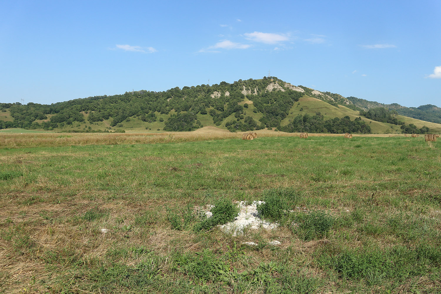 Герпегем, image of landscape/habitat.