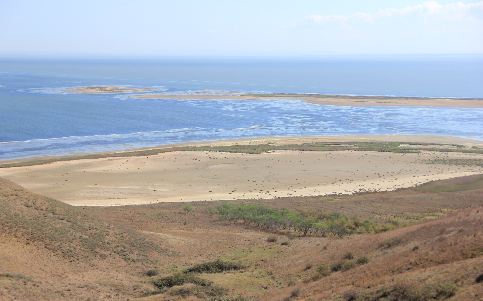 Восточнее Веселовки, image of landscape/habitat.