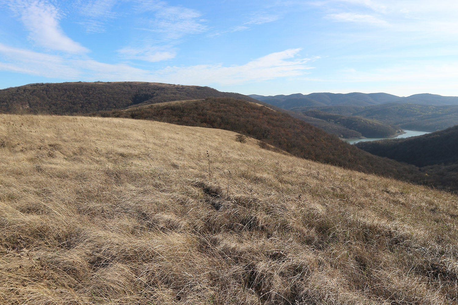 Херсонка, image of landscape/habitat.