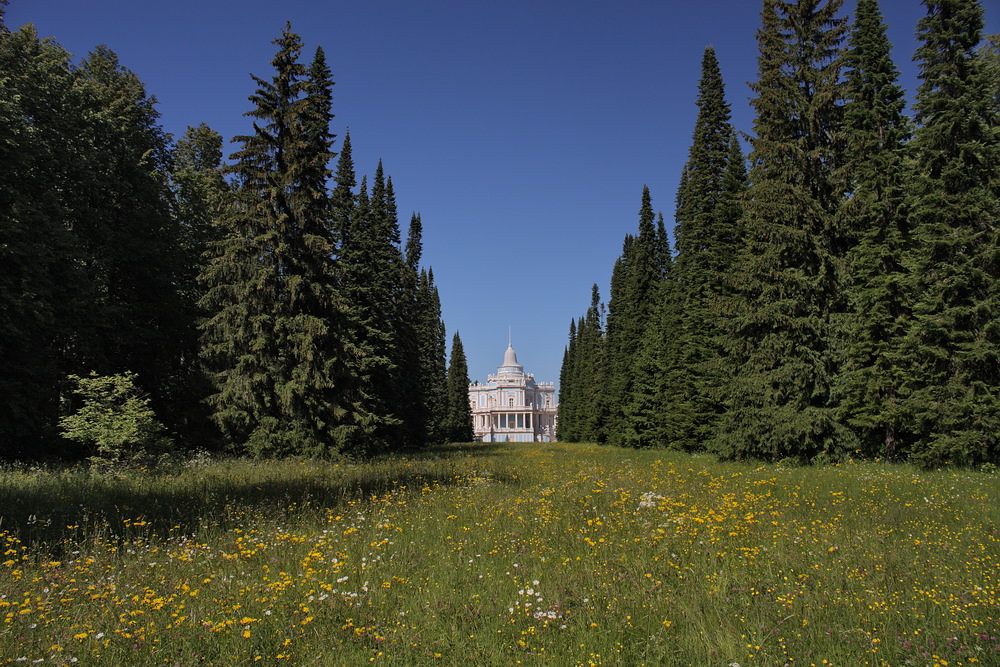 Красная Слобода, image of landscape/habitat.