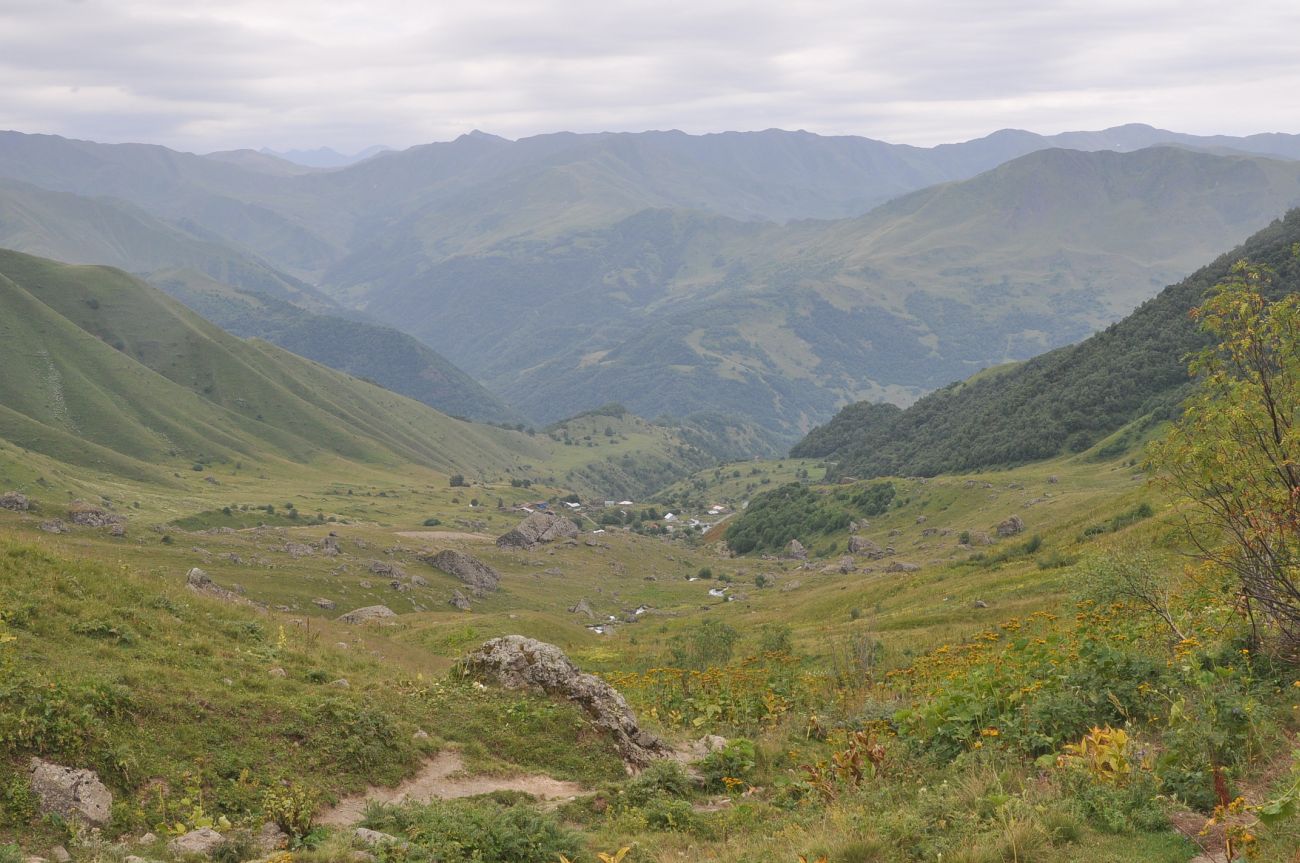 Окрестности села Рошка, image of landscape/habitat.