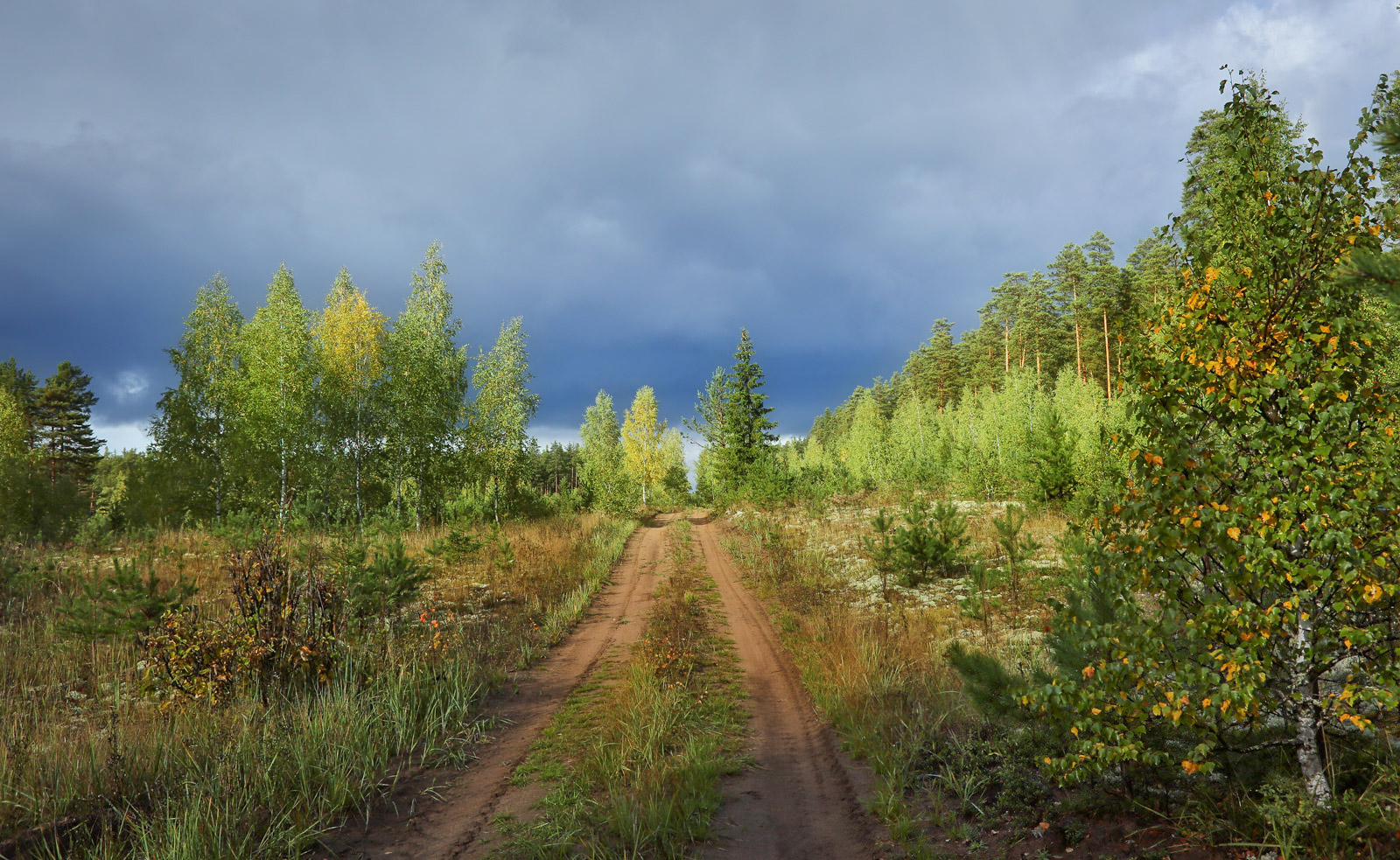 Кунчурихинский бор, image of landscape/habitat.