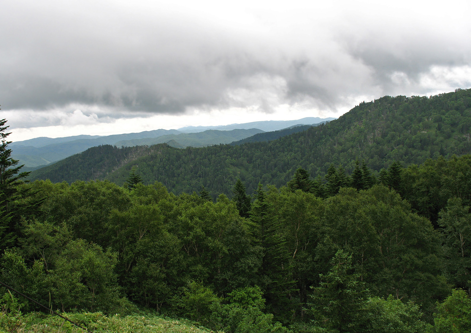 Калым, image of landscape/habitat.