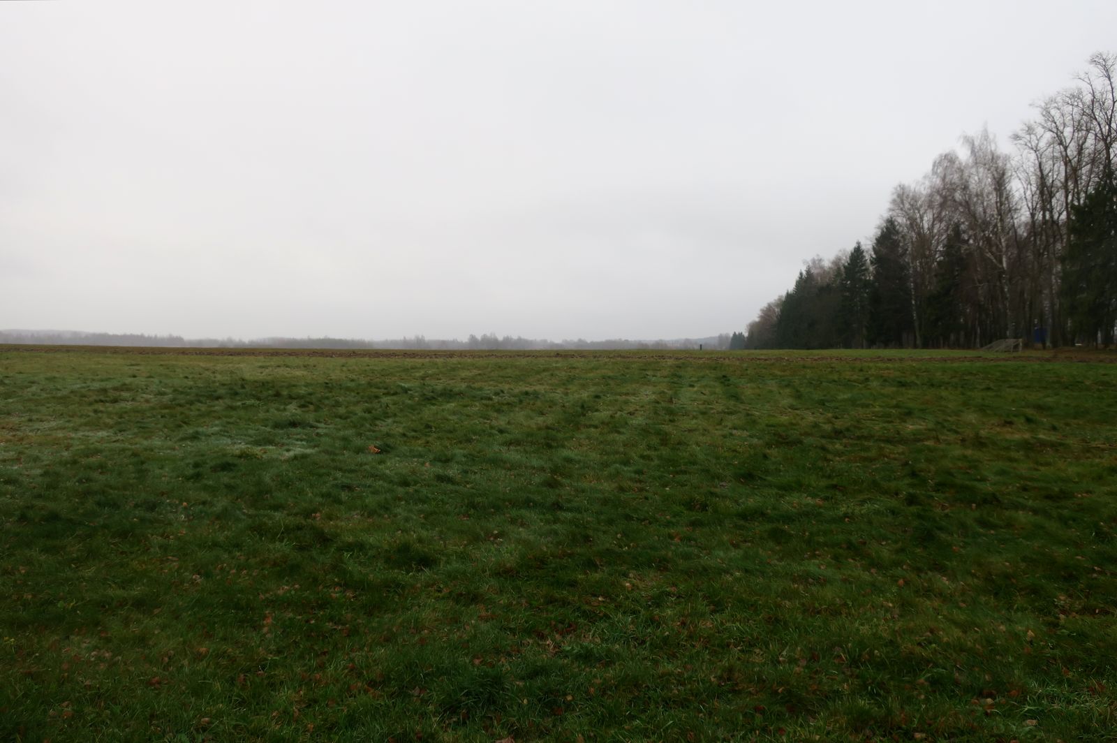 Окрестности деревни Бородино, image of landscape/habitat.