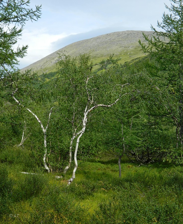 Валунный, image of landscape/habitat.