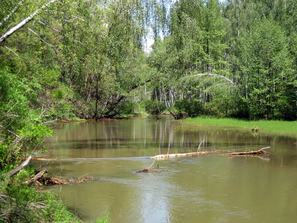 Лебедёвка, image of landscape/habitat.