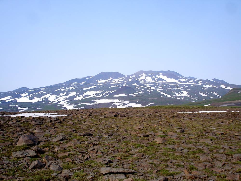 Горелинский дол, image of landscape/habitat.