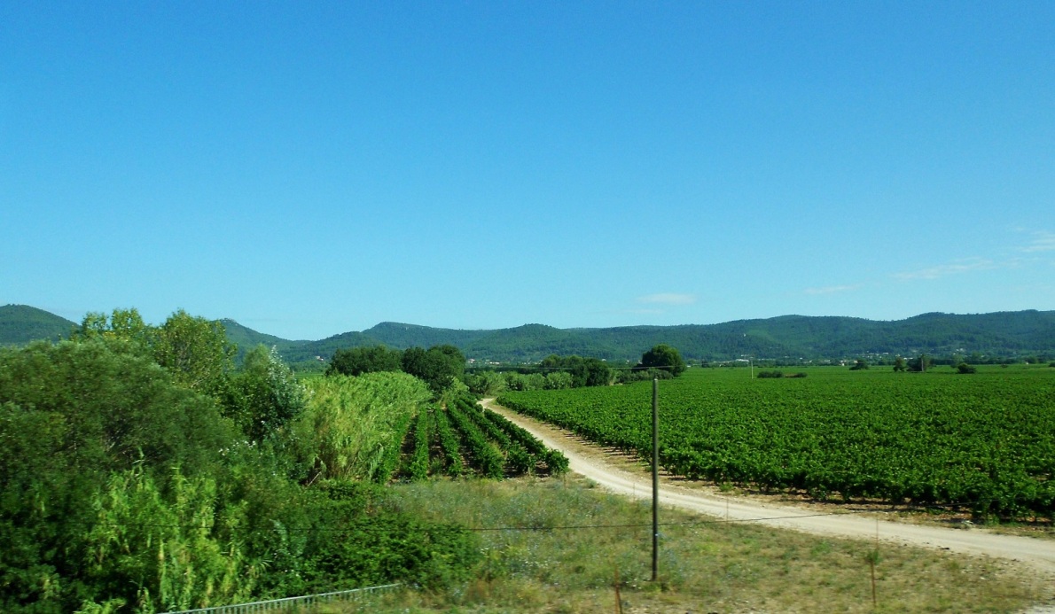 Йер, image of landscape/habitat.