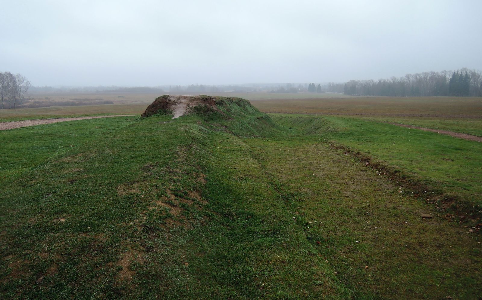 Окрестности деревни Бородино, image of landscape/habitat.