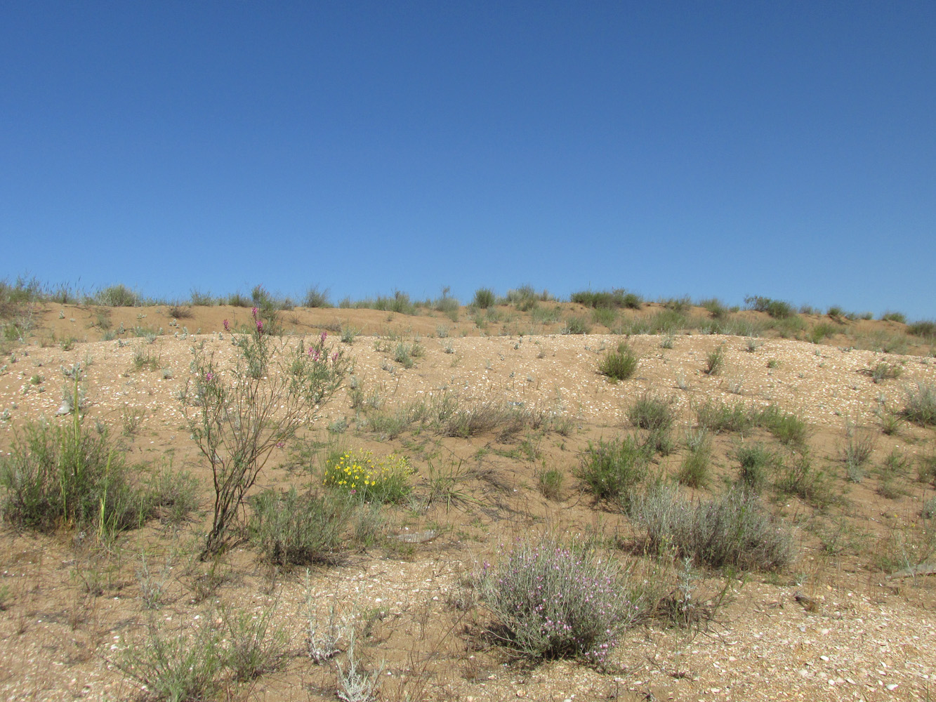 Берег моря у посёлка Мамедкала, image of landscape/habitat.