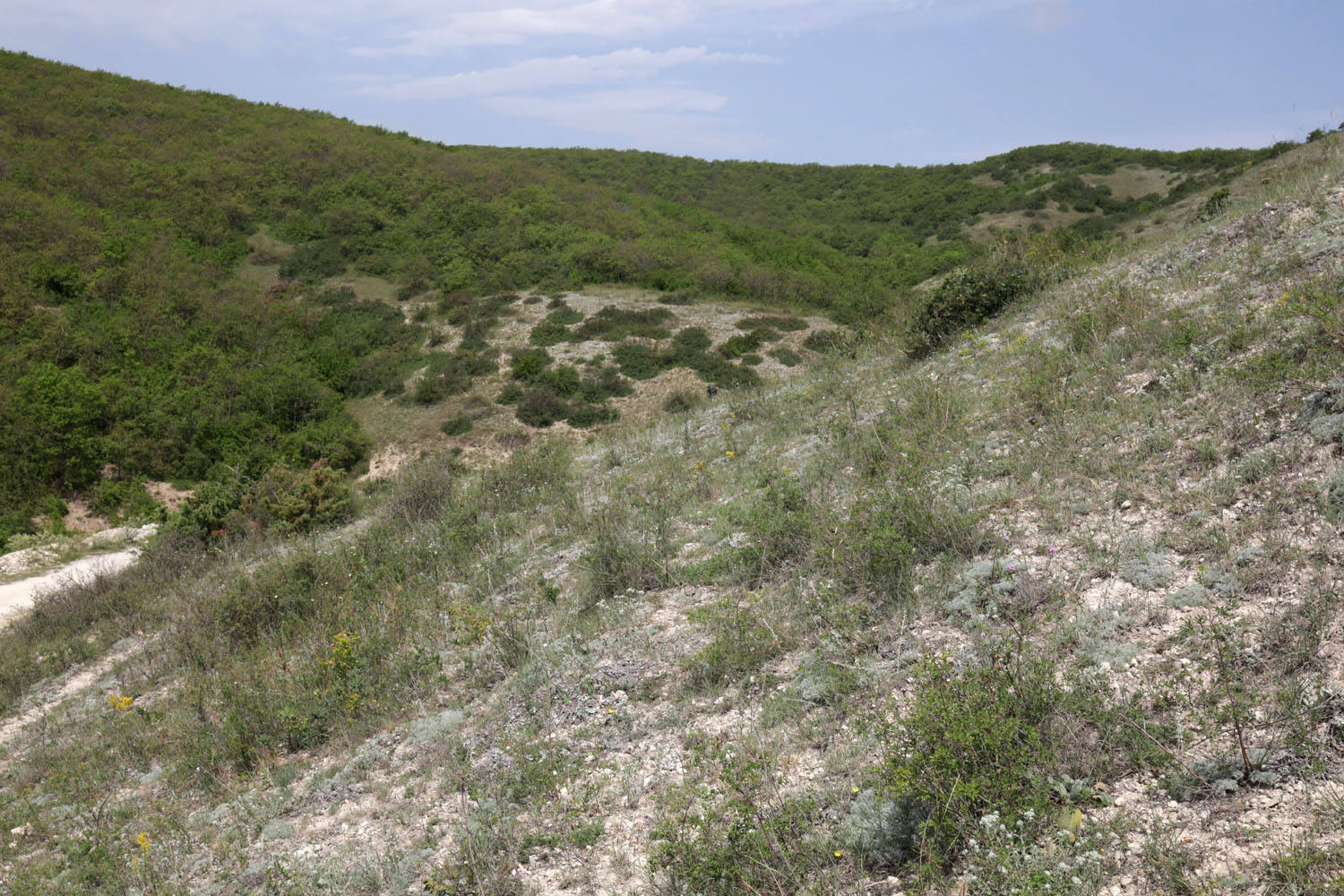 Окрестности села Губден, image of landscape/habitat.