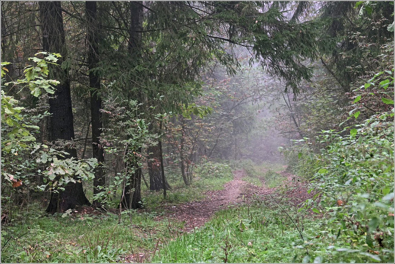 Окрестности Хрипани, image of landscape/habitat.