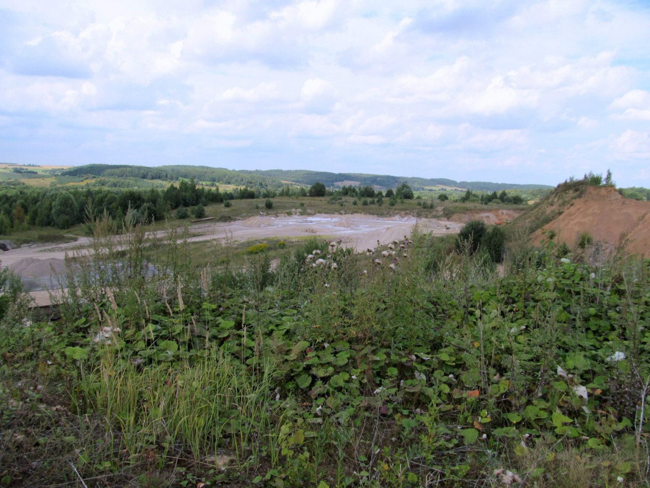 Песчаный карьер "Рутковское", image of landscape/habitat.