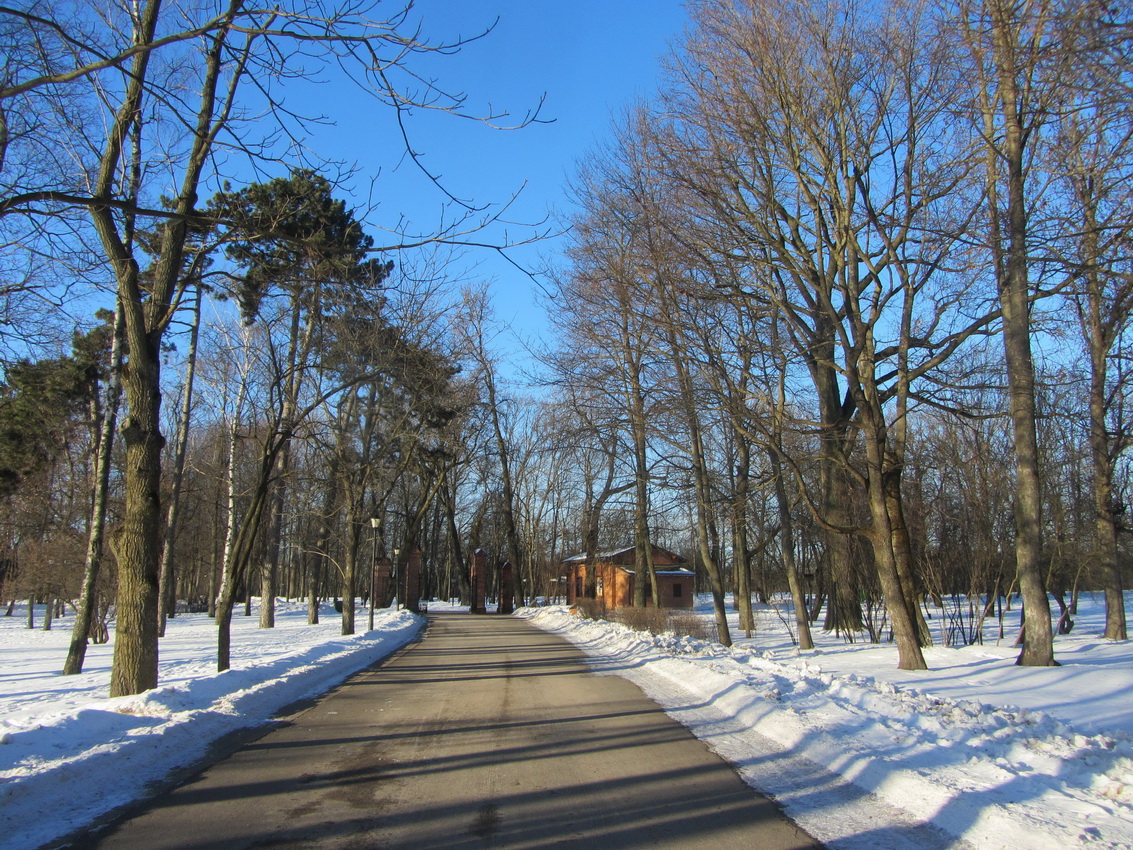 Лошицкий парк, изображение ландшафта.
