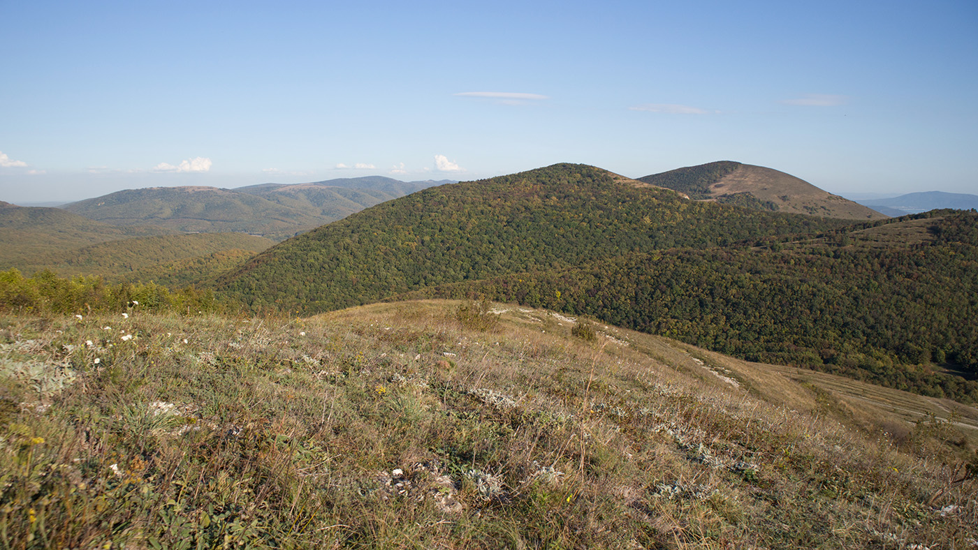 Неберджаевский перевал, image of landscape/habitat.