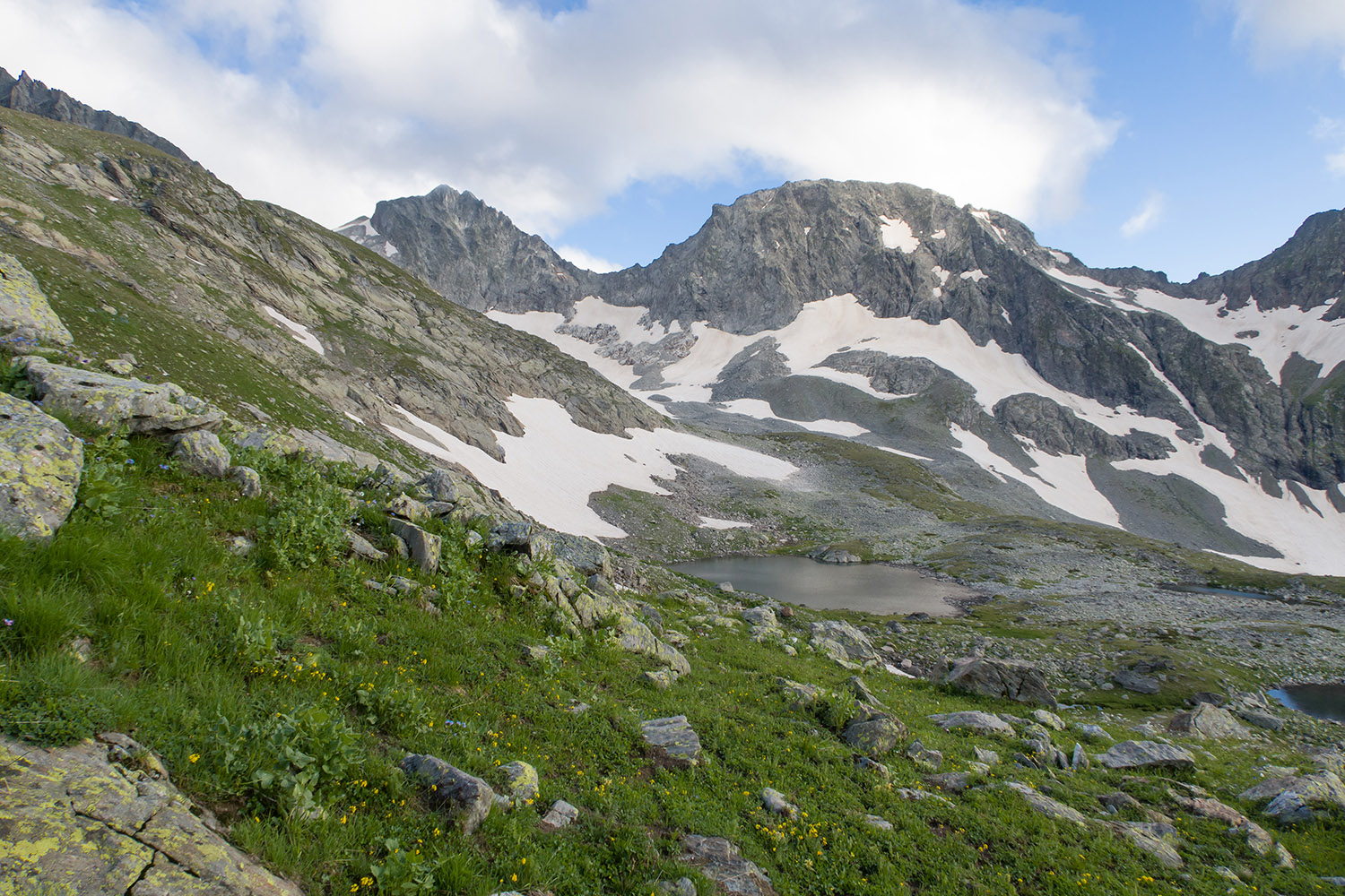 Ривьера, image of landscape/habitat.