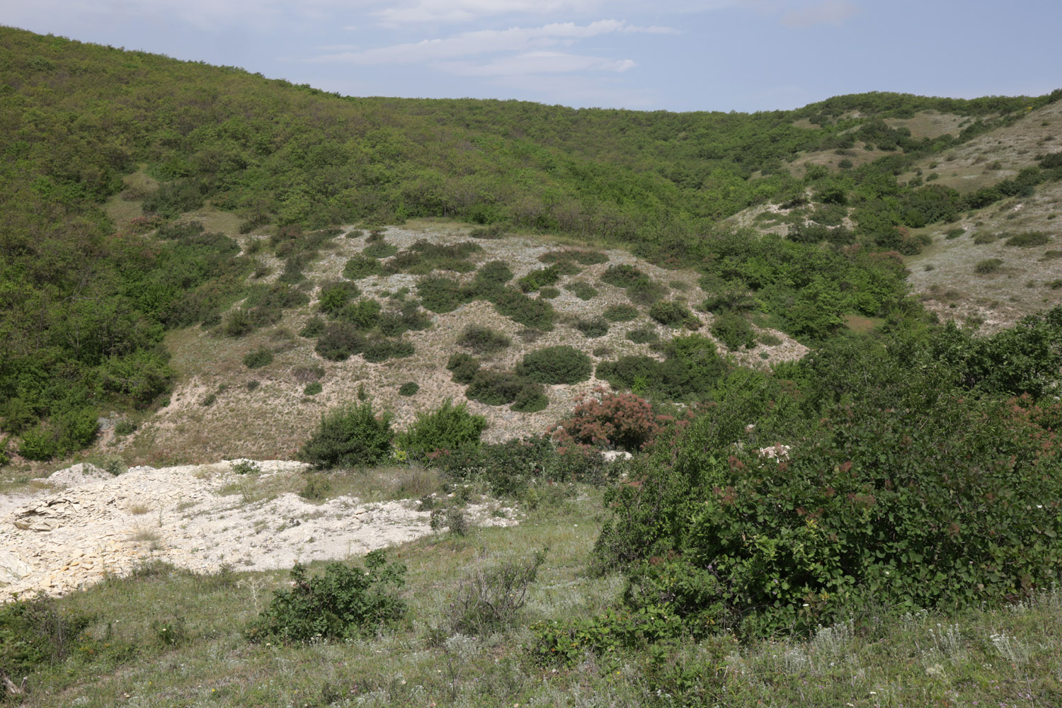 Окрестности села Губден, image of landscape/habitat.