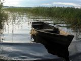 Осыно, image of landscape/habitat.