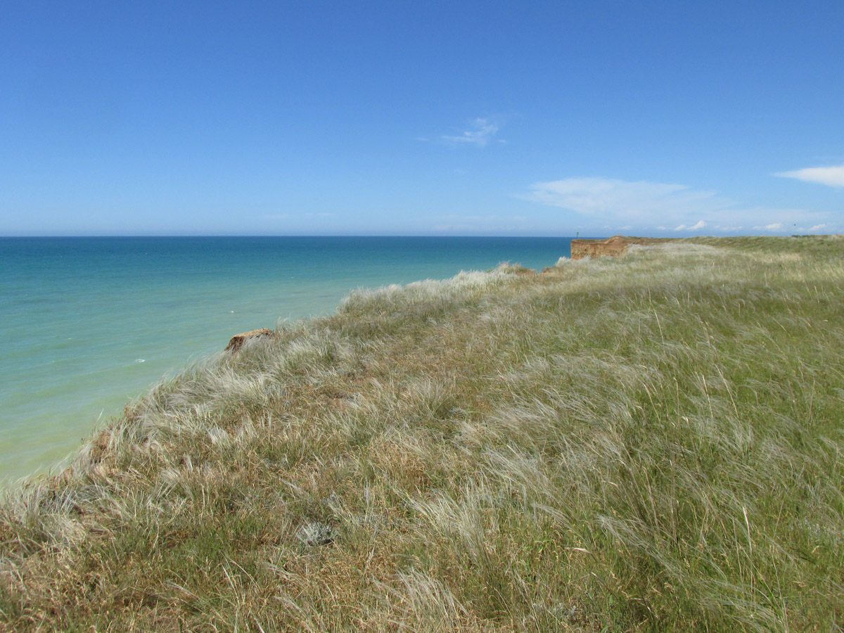 Мыс Лукулл, image of landscape/habitat.