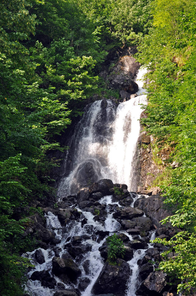 Северный берег озера Рица, image of landscape/habitat.