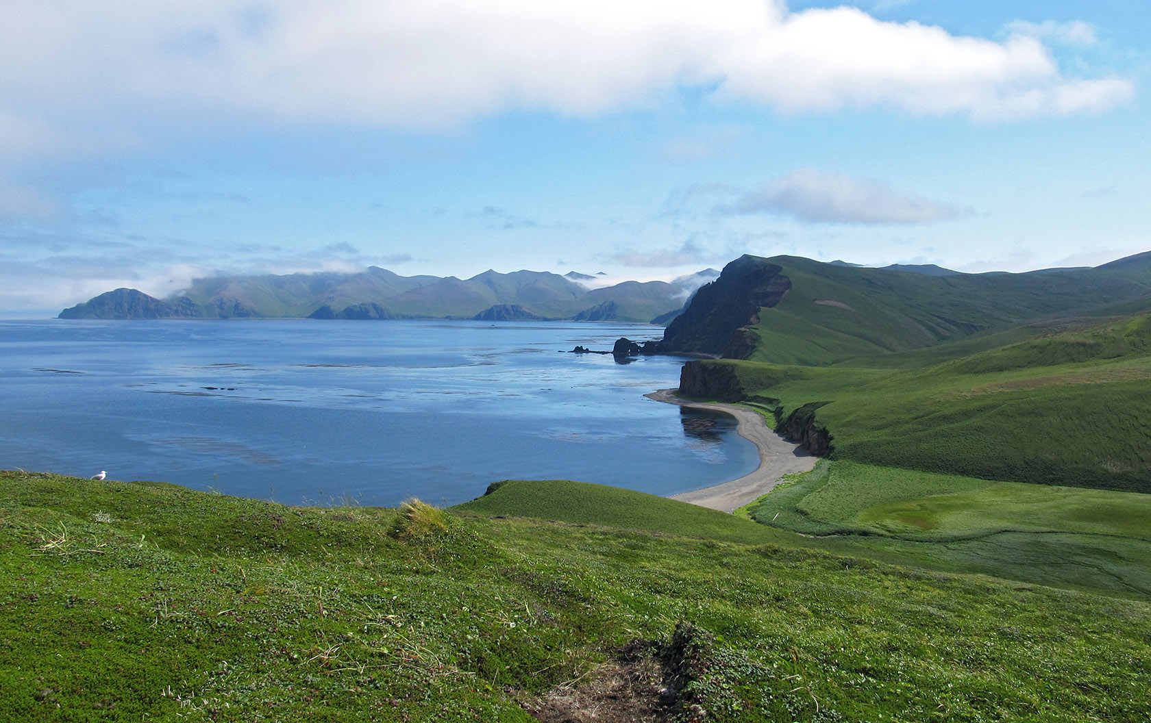 Остров Медный, image of landscape/habitat.