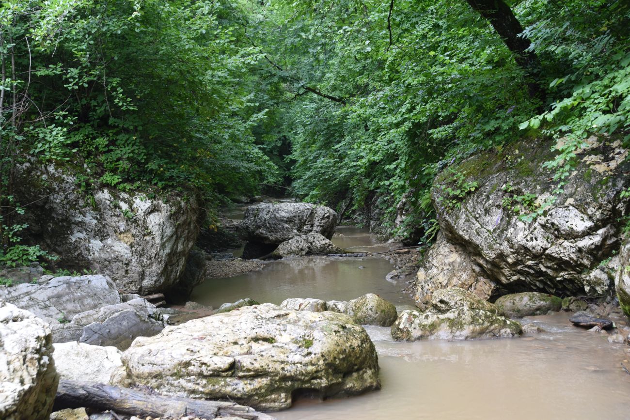 Водопад Шум, изображение ландшафта.