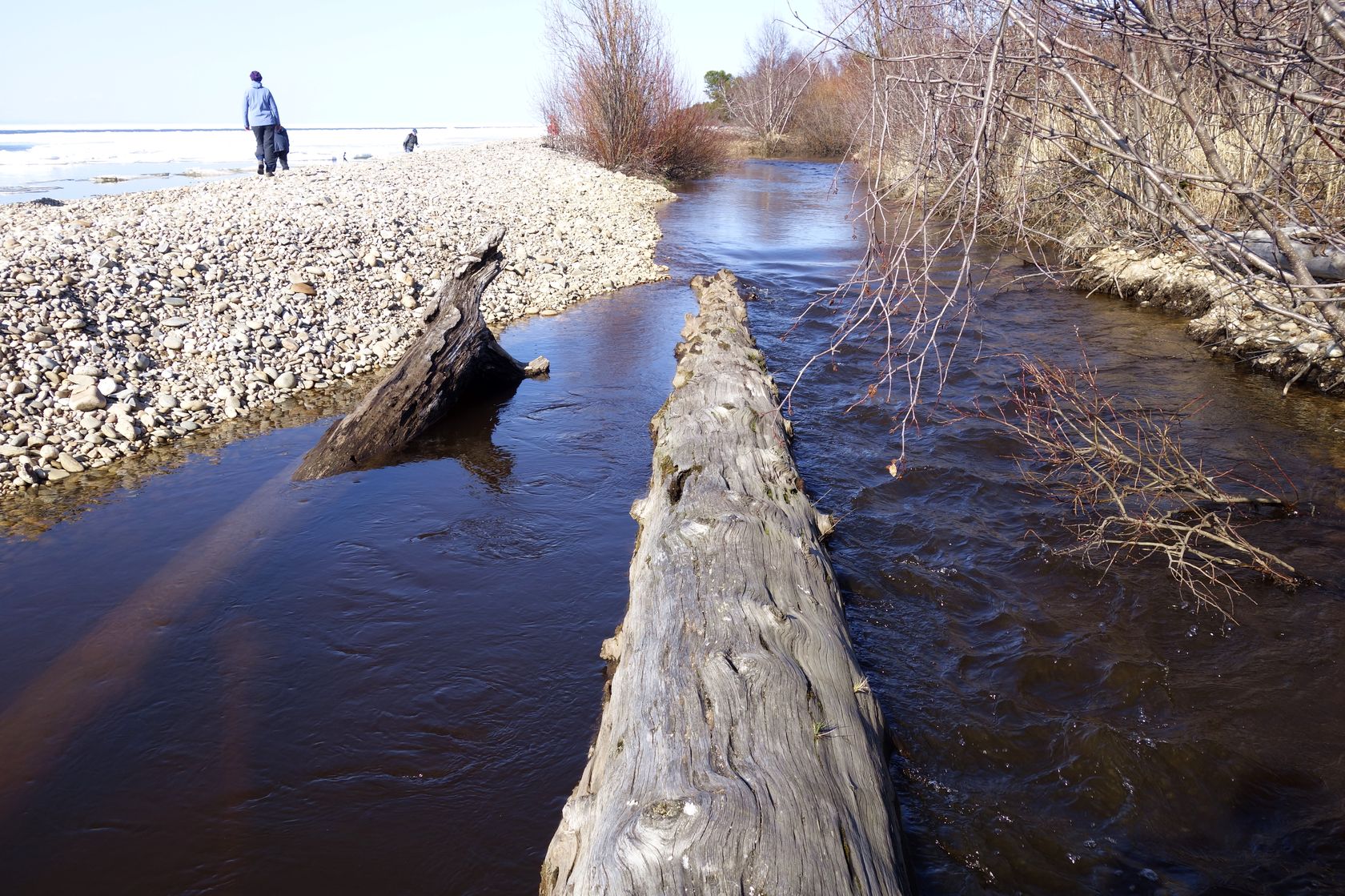 Омулёвый, image of landscape/habitat.