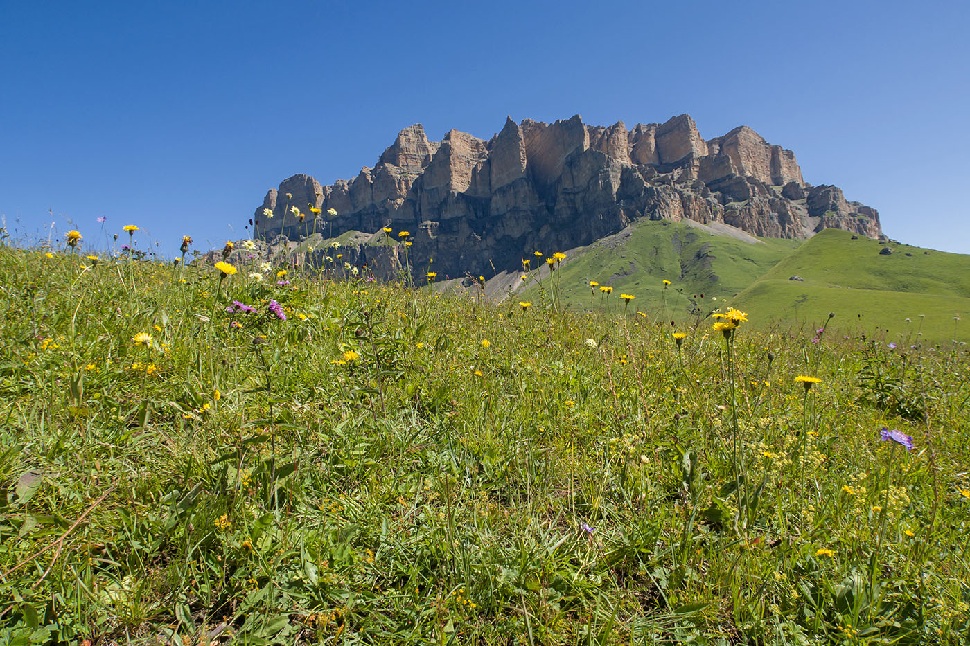 Айдарука-Цырт, image of landscape/habitat.