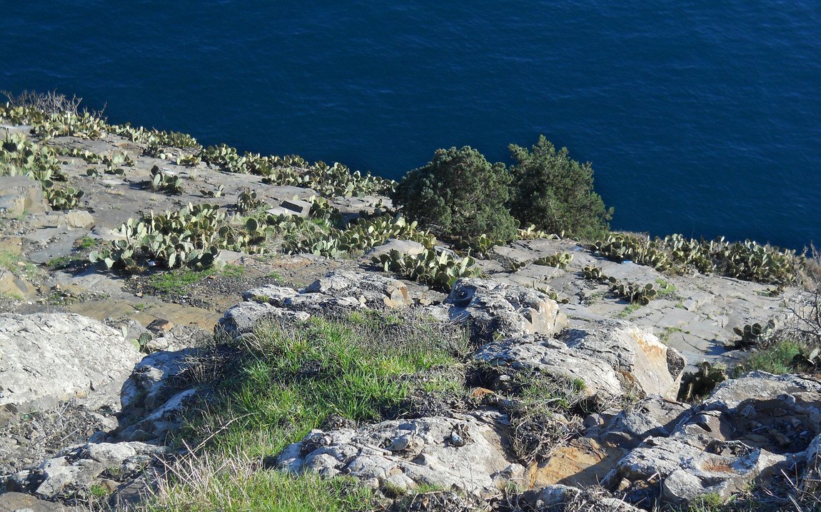 Ламбата, image of landscape/habitat.