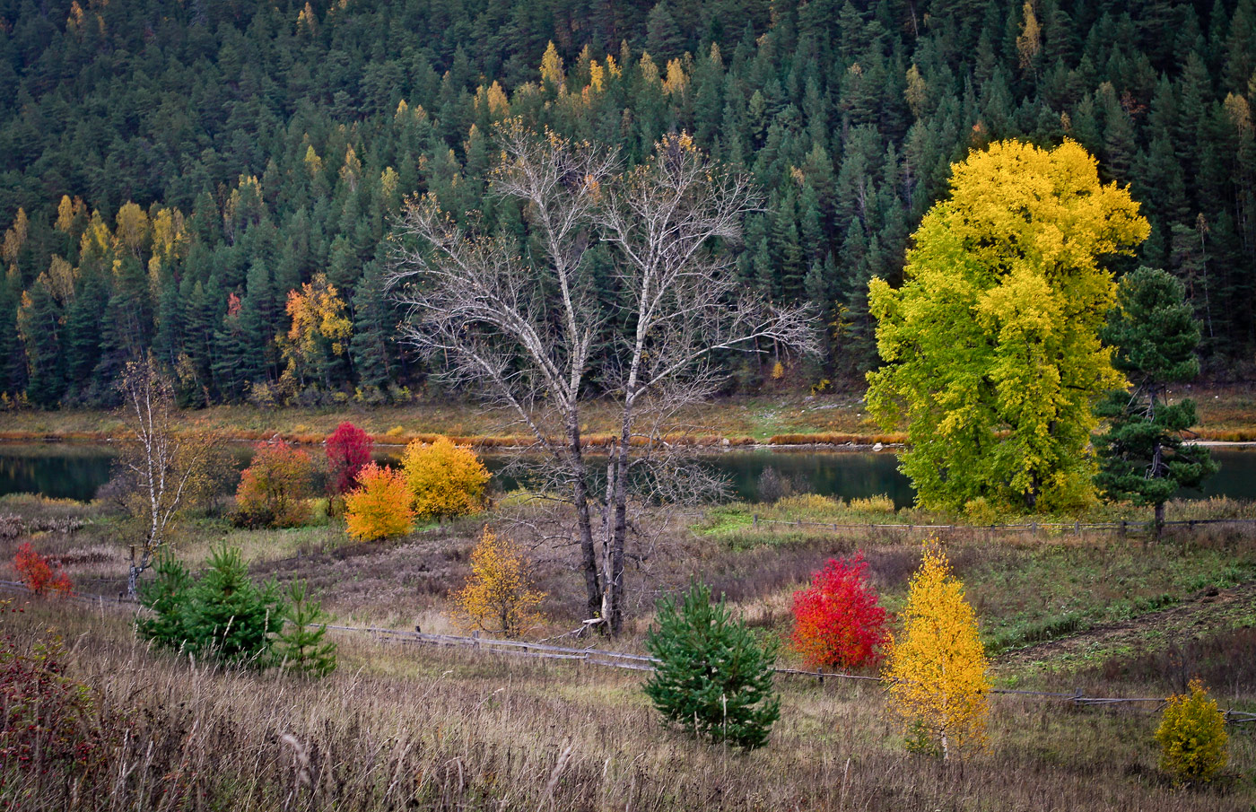 Кын и его окрестности, image of landscape/habitat.