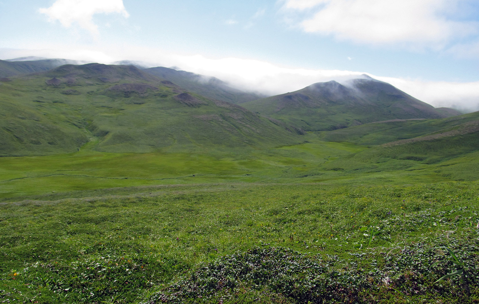 Остров Медный, image of landscape/habitat.