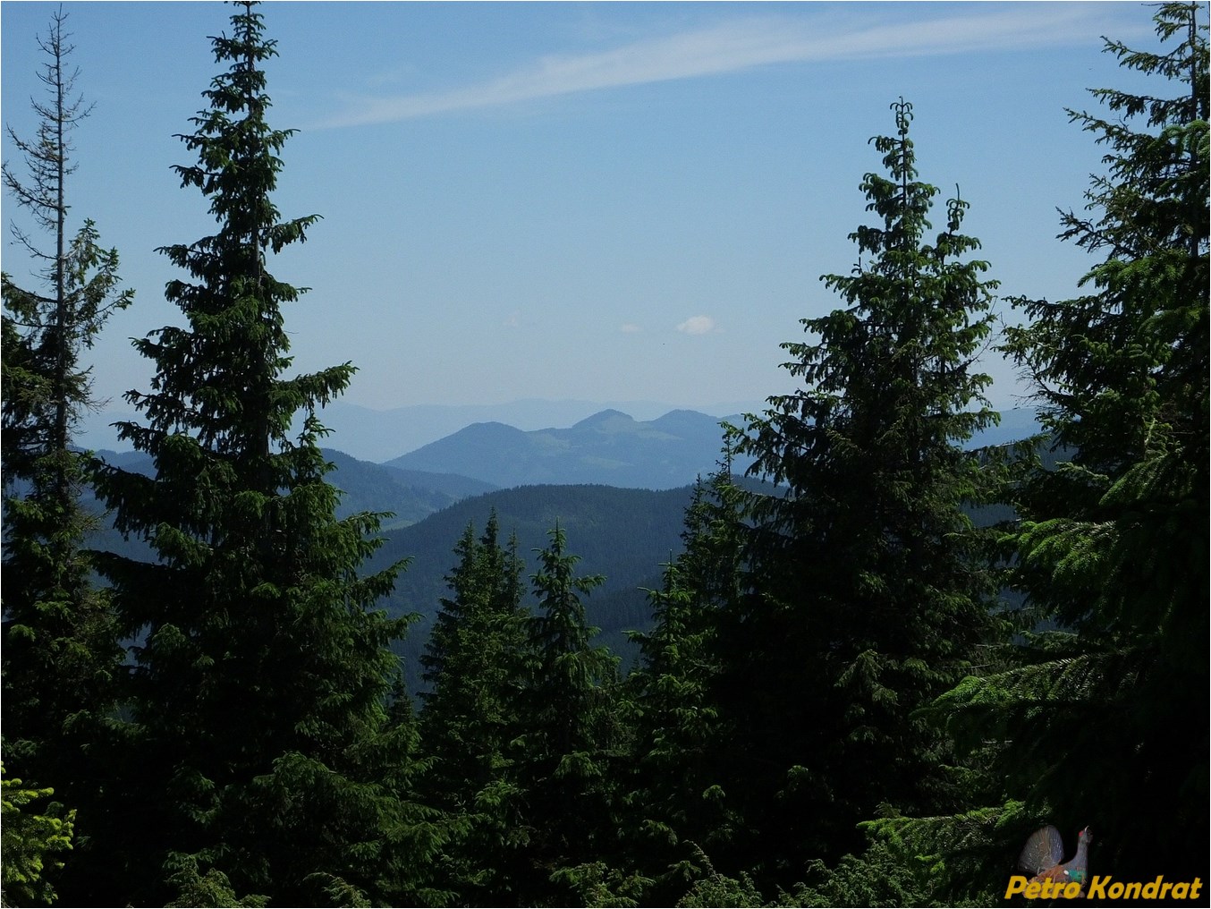 Черногора, image of landscape/habitat.