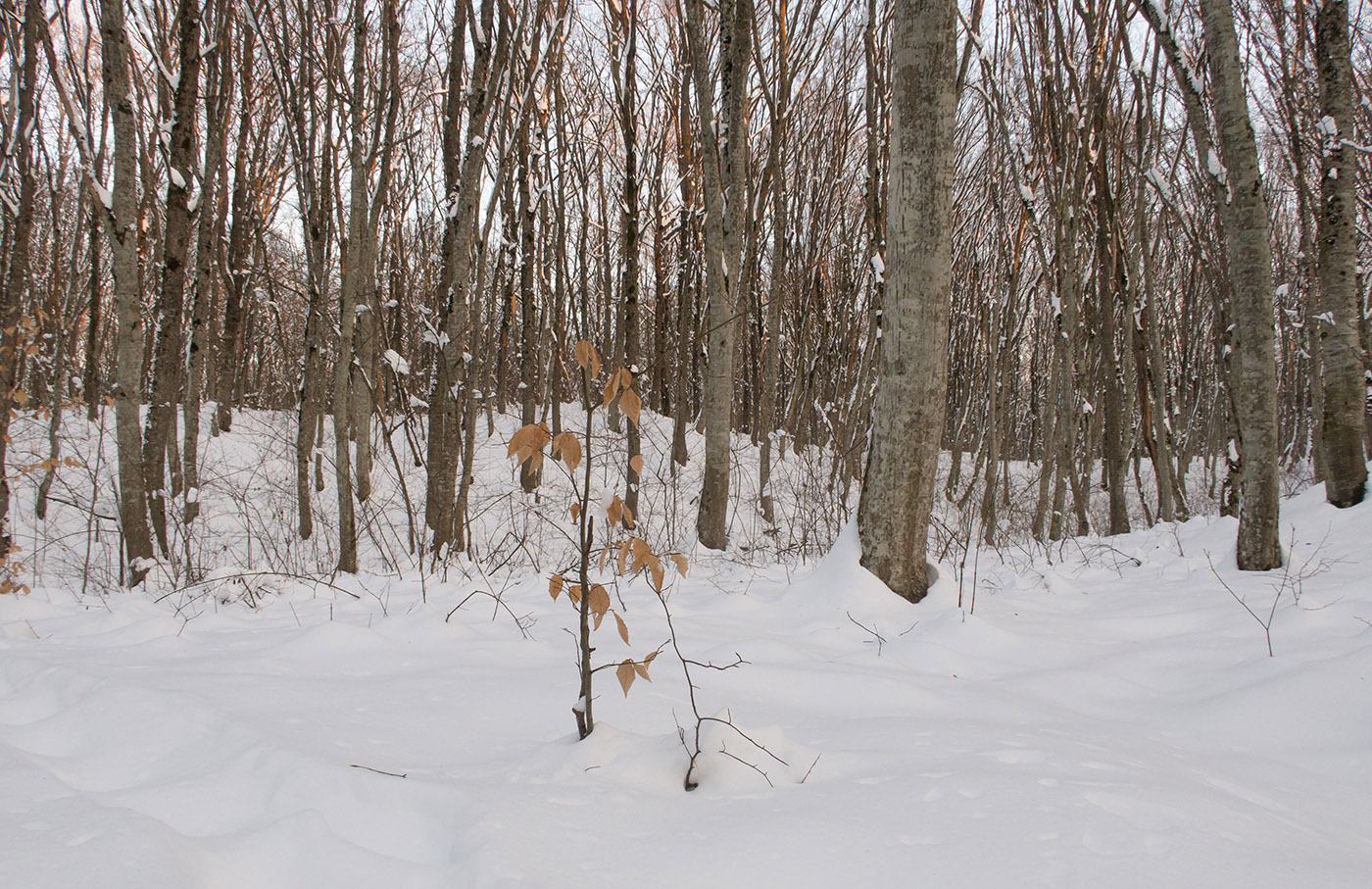 Глубокий Яр, image of landscape/habitat.