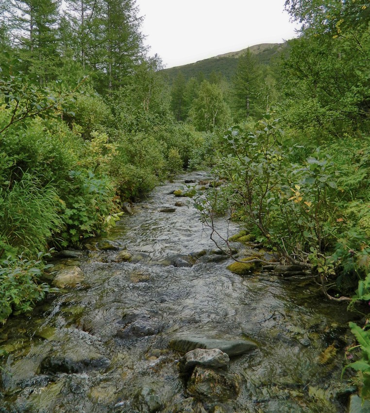 Валунный, image of landscape/habitat.